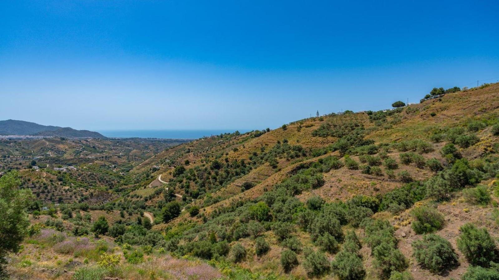 Cortijo El Mirador Frigiliana By Ruralidays Villa Exterior foto